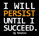 I-will-persist-until-I-succeed